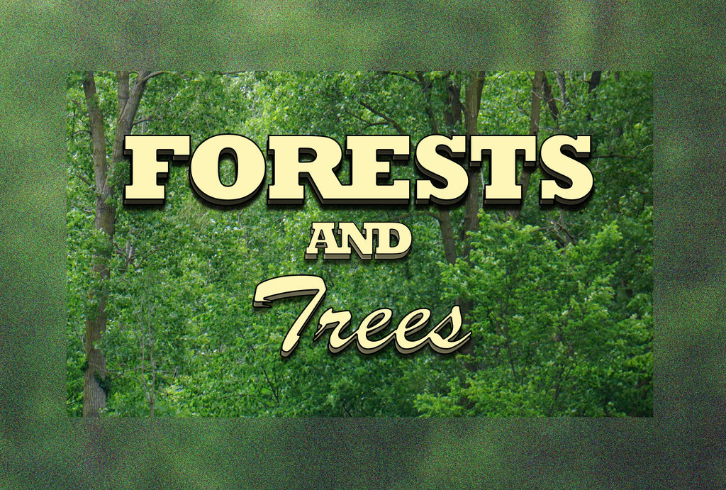 FROM THE ARCHIVES: FORESTS AND TREES (by Tom Russell)