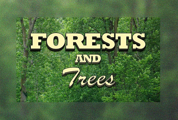FORESTS AND TREES (by Tom Russell)