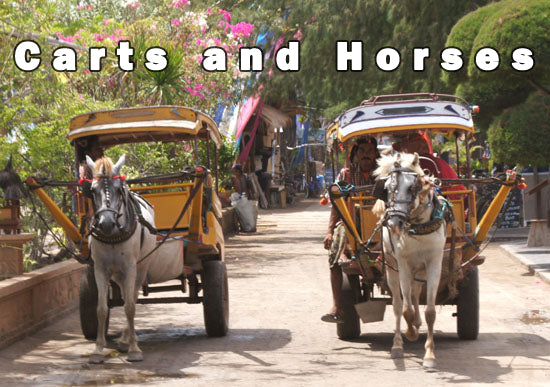 FROM THE ARCHIVES: CARTS AND HORSES (by Tom Russell)