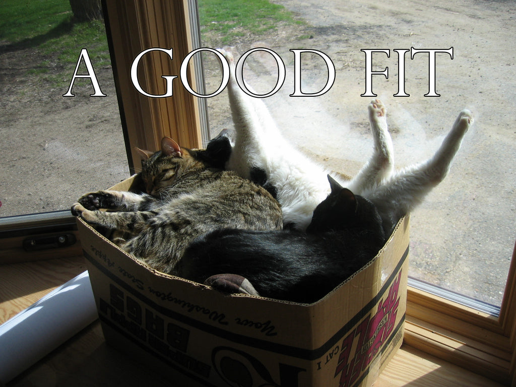 FROM THE ARCHIVES: A GOOD FIT (by Tom Russell)
