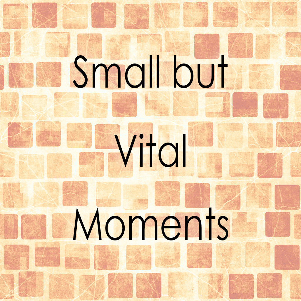 SMALL BUT VITAL MOMENTS (by Tom Russell)