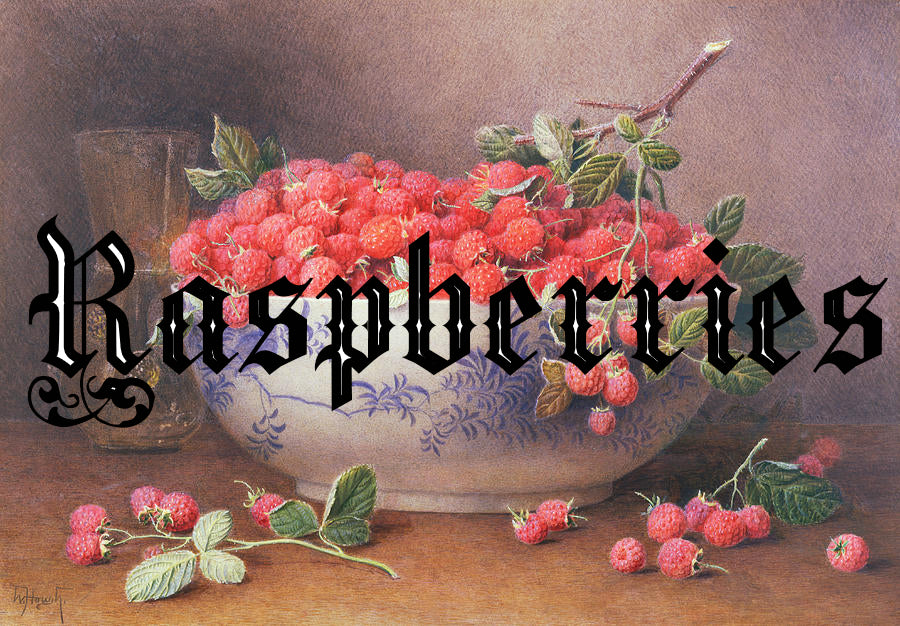 RASPBERRIES (by Tom Russell)