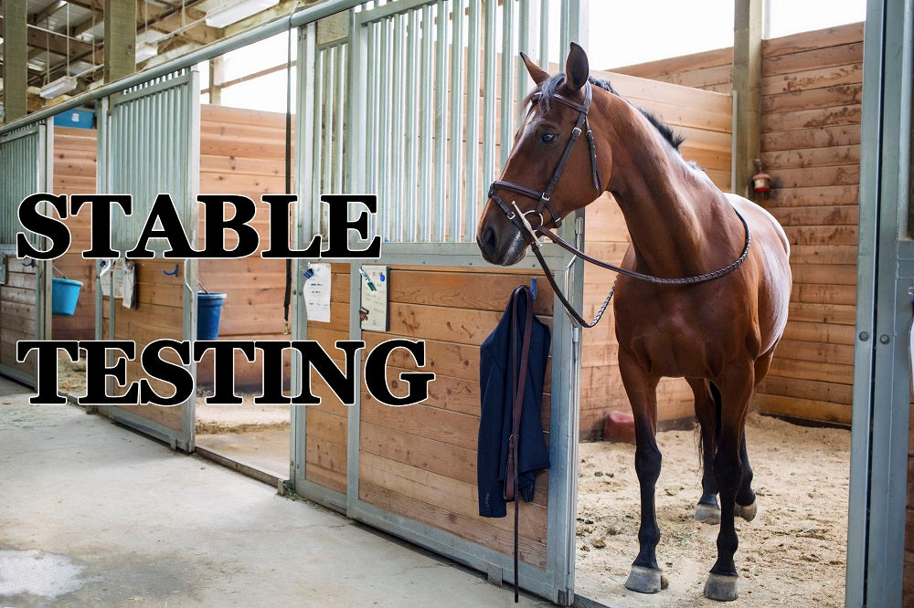 STABLE TESTING (by Tom Russell)